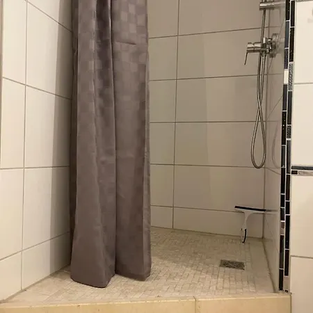 Seeschilf In *